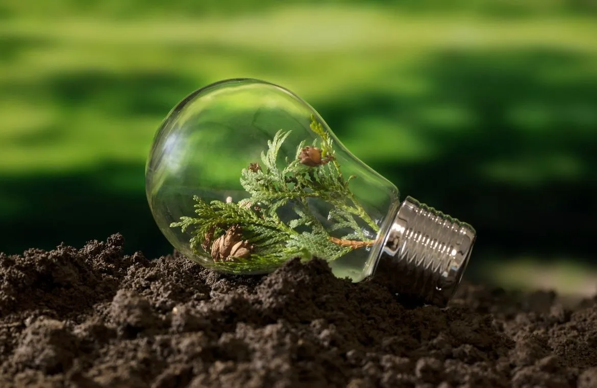 corporate social responsibility