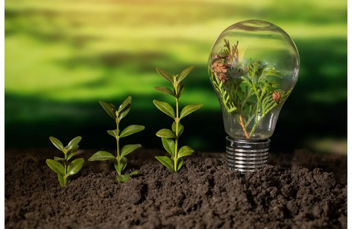 Sustainable development